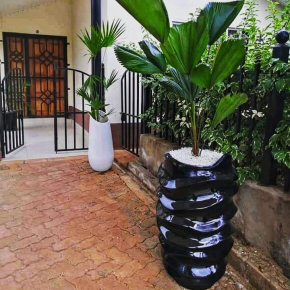 flower pots Nairobi for interior & exterior potted plants 0710558855