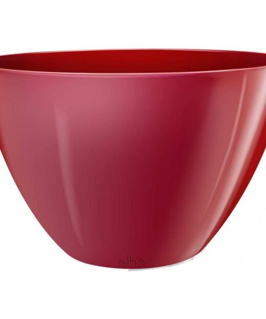 Table flower pots ; Shop online for potted plants 0710558855