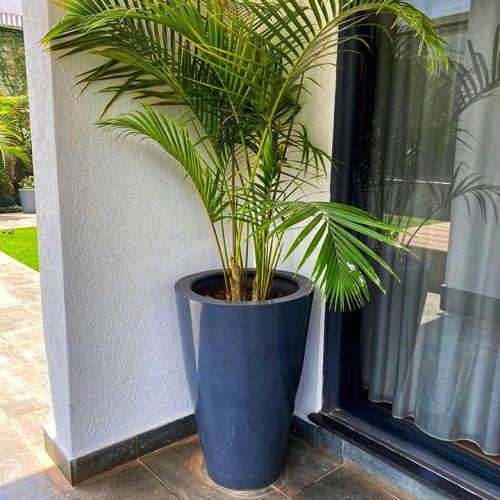 flower pots Nairobi for interior & exterior potted plants 0710558855