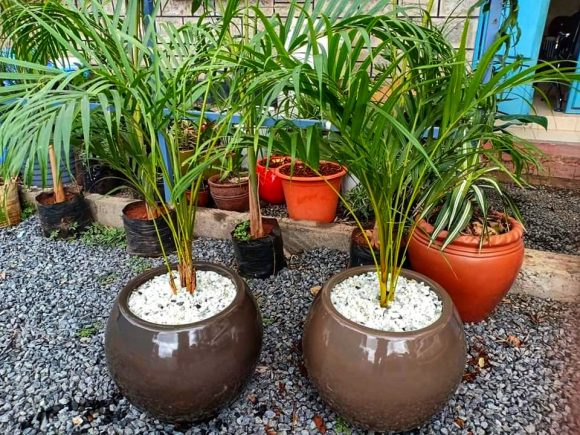 Geo Sphere fiber glass pot Shop online for quality