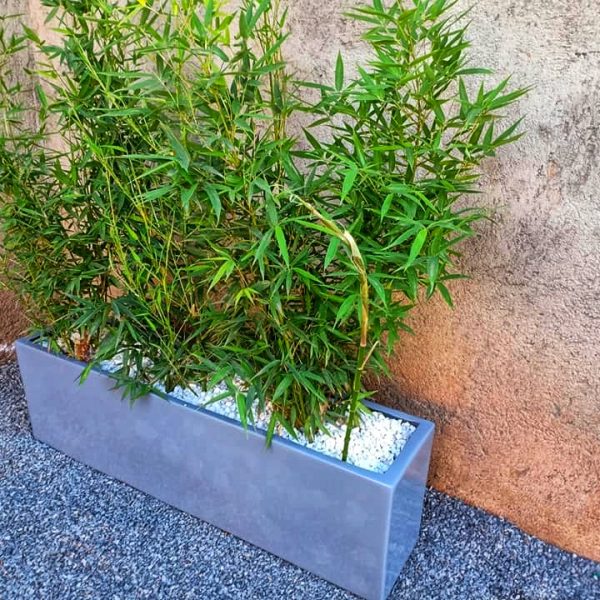 flower pots Nairobi for interior & exterior potted plants 0710558855